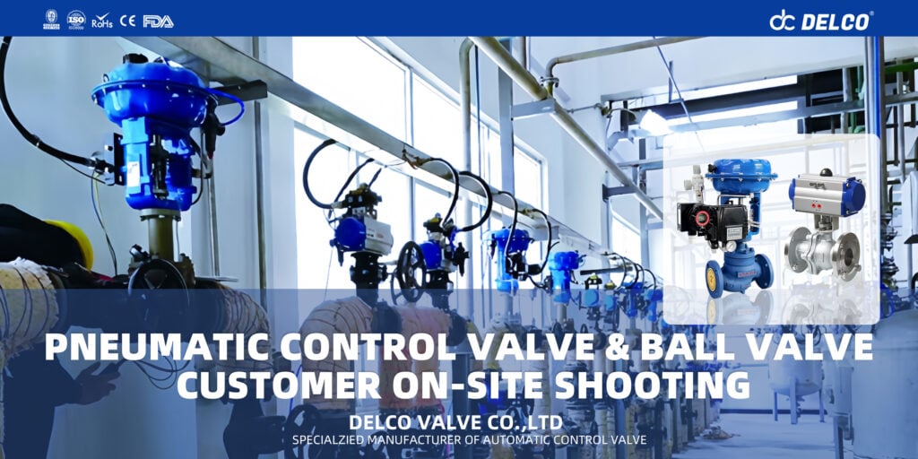 PNEUMATIC CONTROL VALVE & BALL VALVE