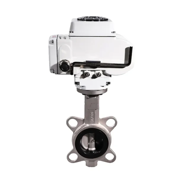 Wafer Butterfly Valve 1