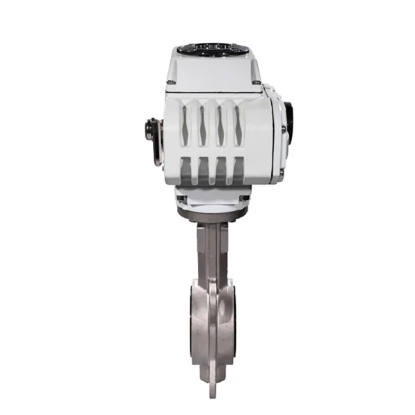 Wafer Butterfly Valve 2