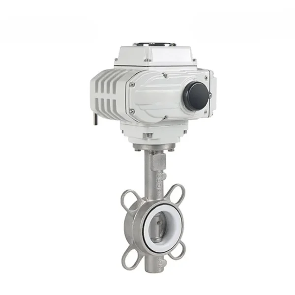 Wafer Butterfly Valve 3