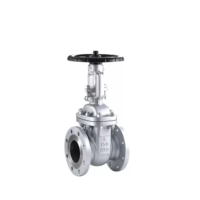 Manual Stainless Steel Flanged Gate Valve – Rear View