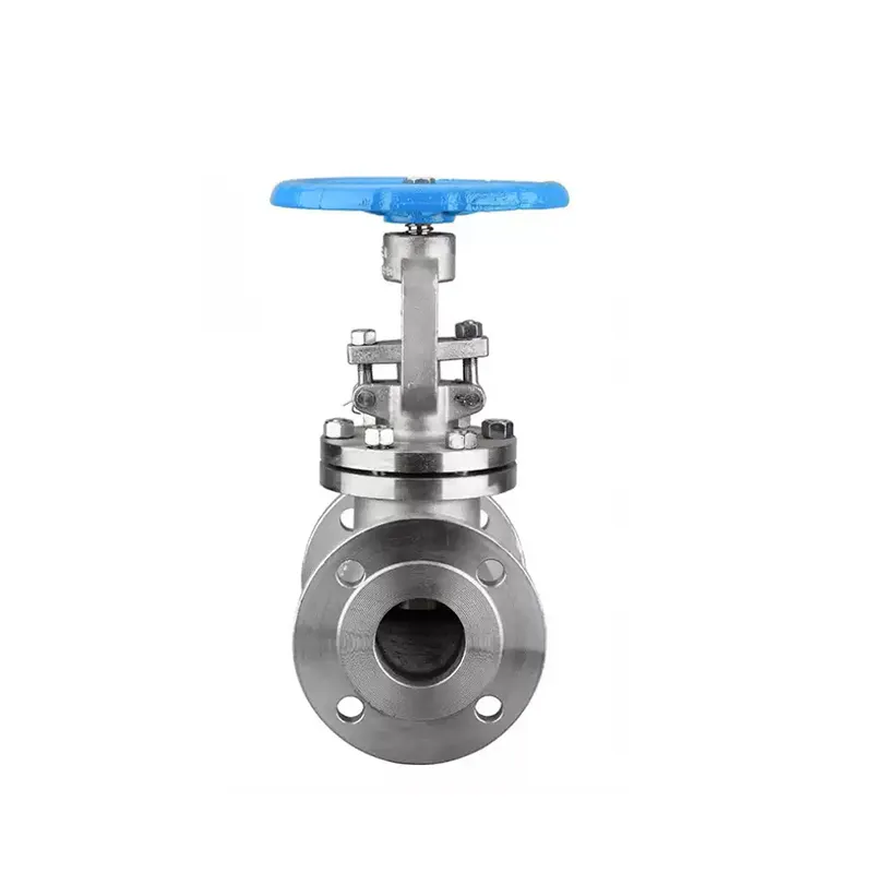 Manual stainless steel flanged globe valve in 45-degree angle view showing full valve structure