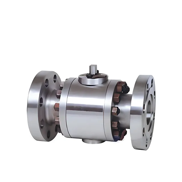 Fixed trunnion ball valve 5