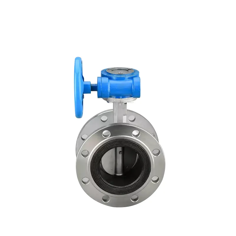 Manual Stainless Steel Flanged Butterfly Valve 5