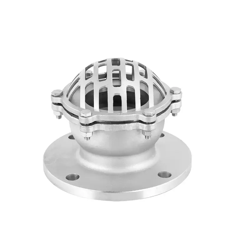 Stainless Steel Flanged Foot Valve with Strainer 1