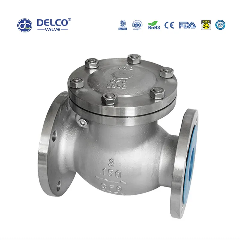 Injap Semak Flanged Swing 3
