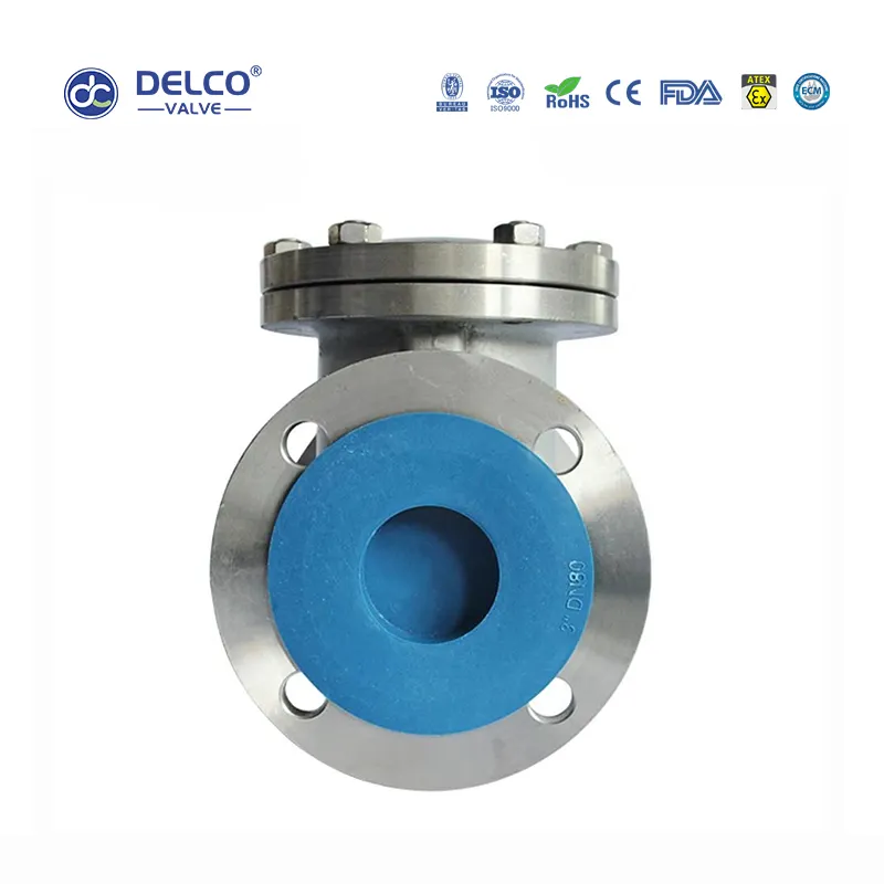 Injap Semak Flanged Swing 5