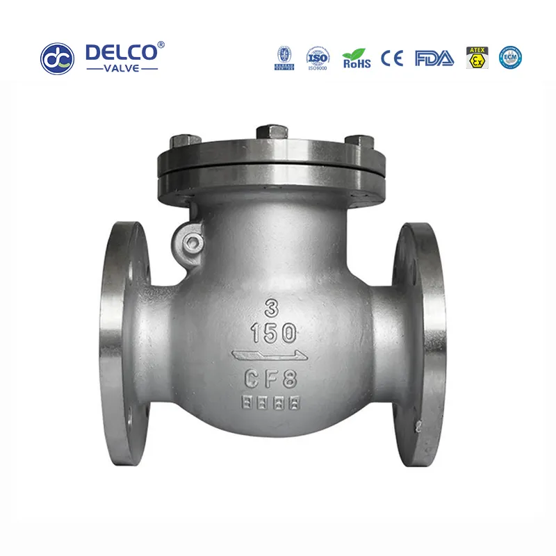 Injap Semak Flanged Swing 2