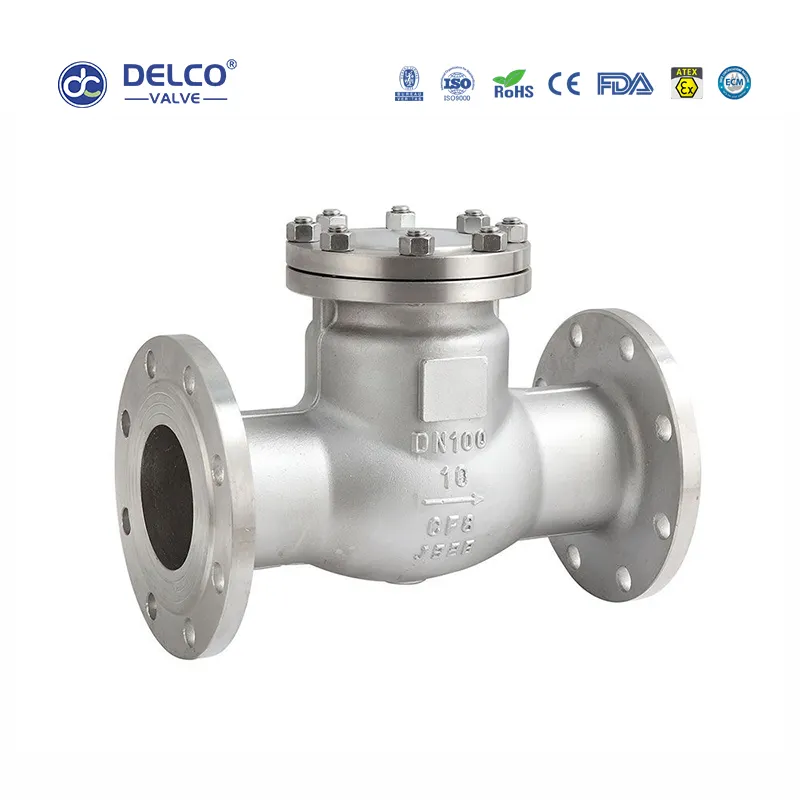 Injap Semak Flanged Swing
