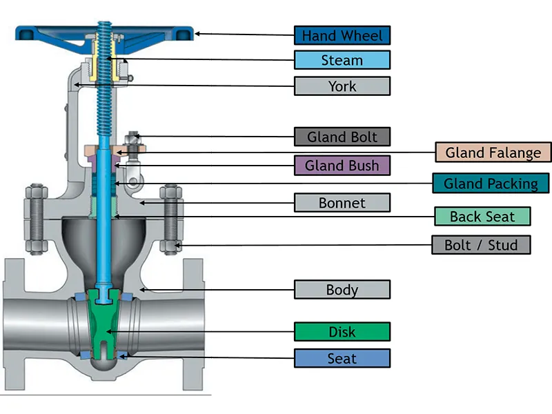 Cross-section anatomy of a globe valve showing body bonnet stem and trim parts