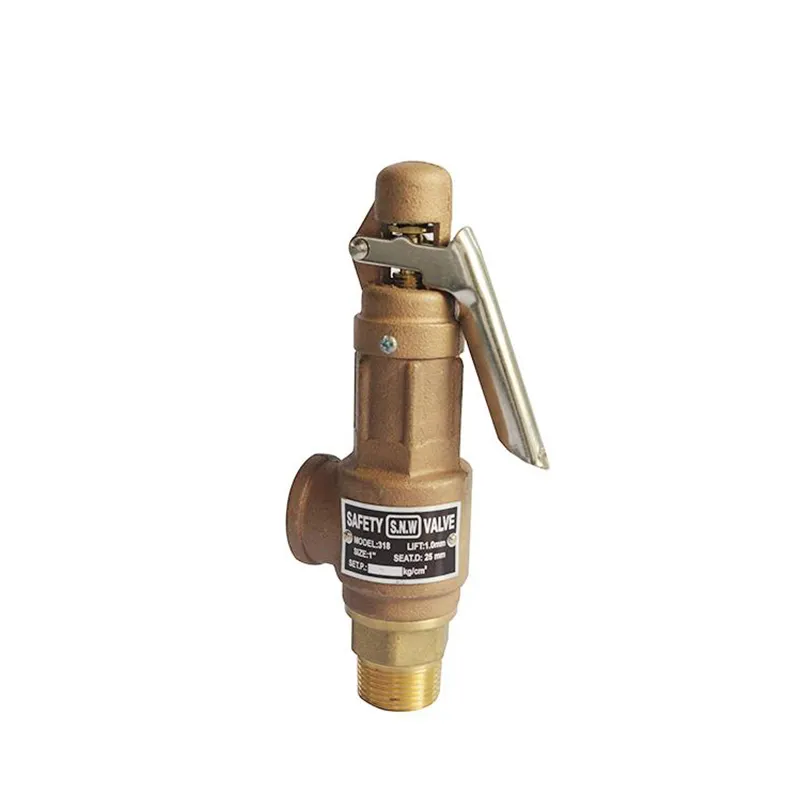 Bronze Safety Valve2