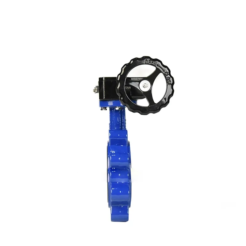 Manual Cast Iron Lug Butterfly Valve5