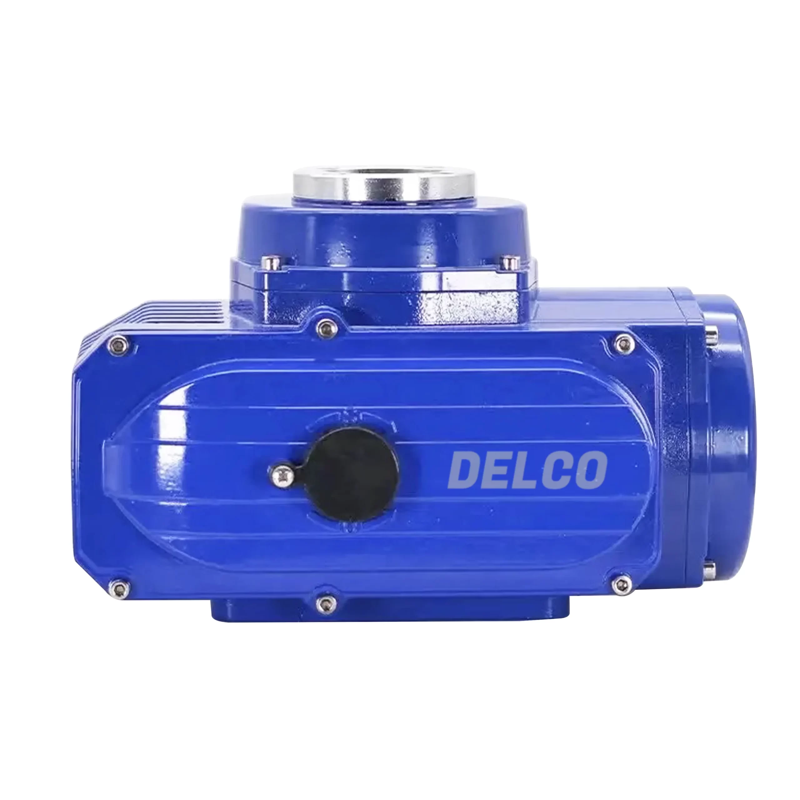 DELCO DKS-IP67 Electric Actuator 2