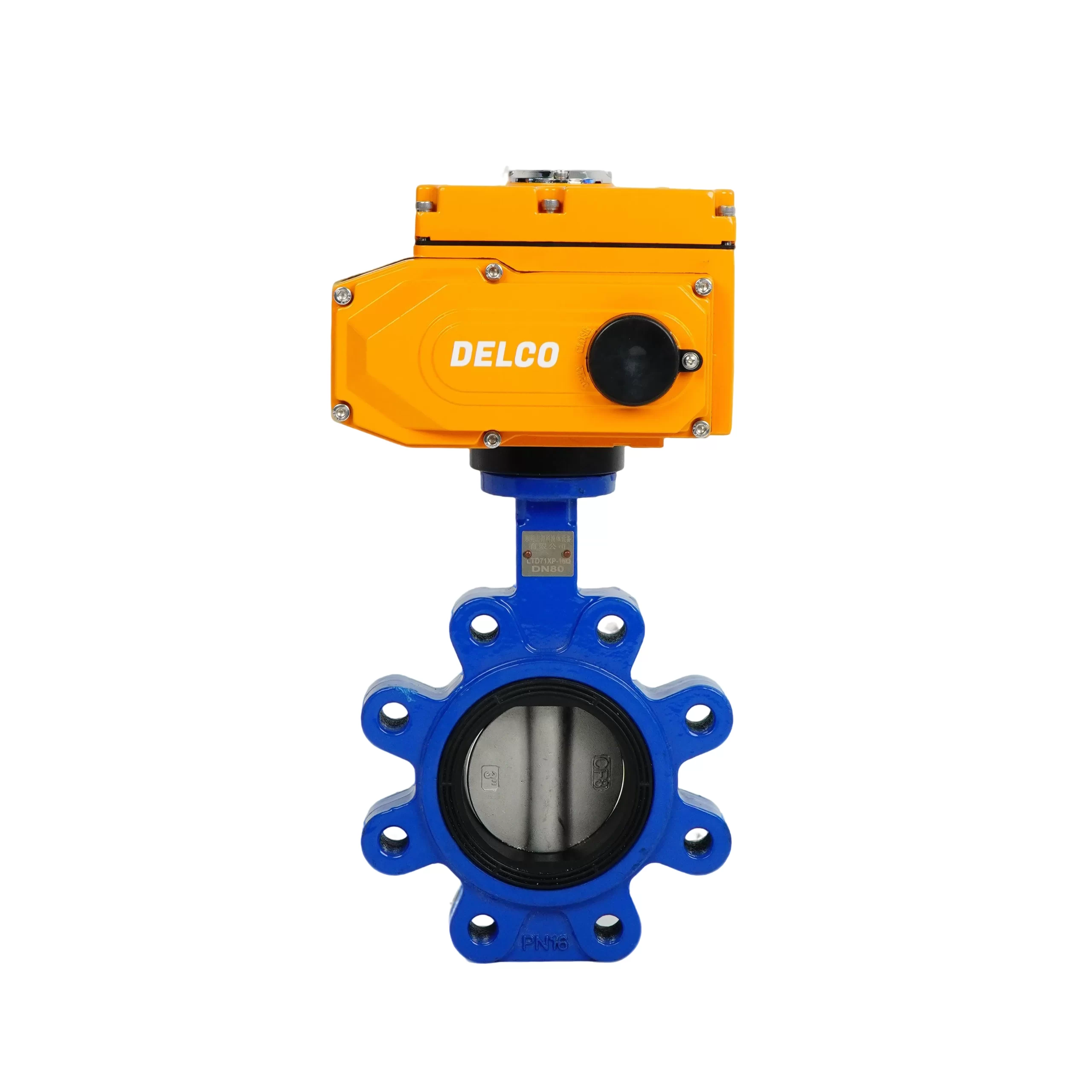 IP67-DK56-LB Electric Lug Cast Iron Butterfly Valve 6
