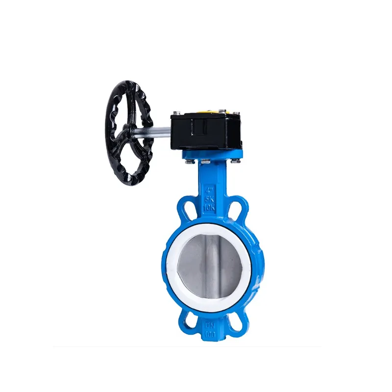 Manual Cast Iron Wafer Butterfly Valve3