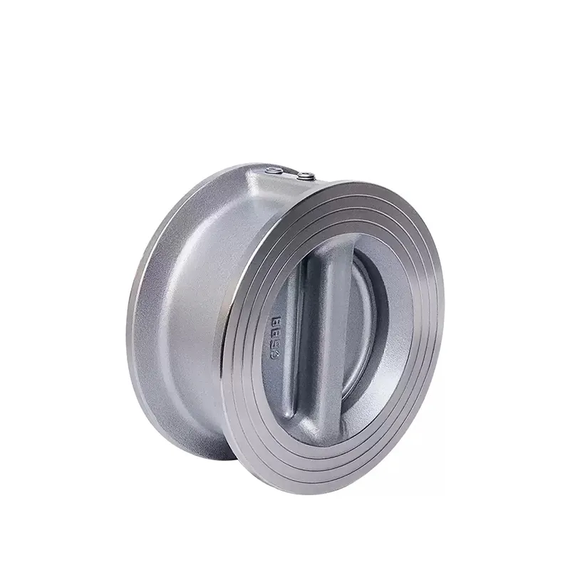 Swing type stainless steel flange check valve 4