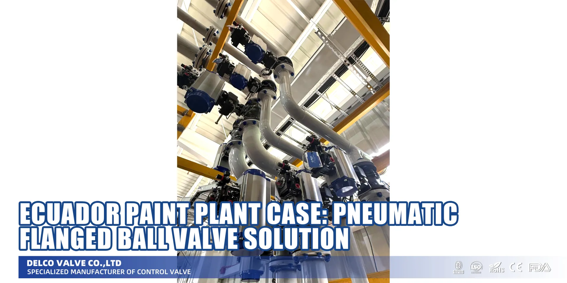 Ecuador Paint Plant Case: Pneumatic Flanged Ball Valve Solution