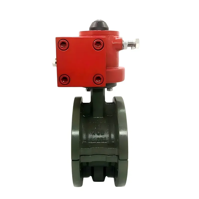 DELCO MYD-DCF Hydraulische, fluorbeschichtete Flansch-Absperrklappe aus Stahlguss für stark saure und alkalische Medien 3
