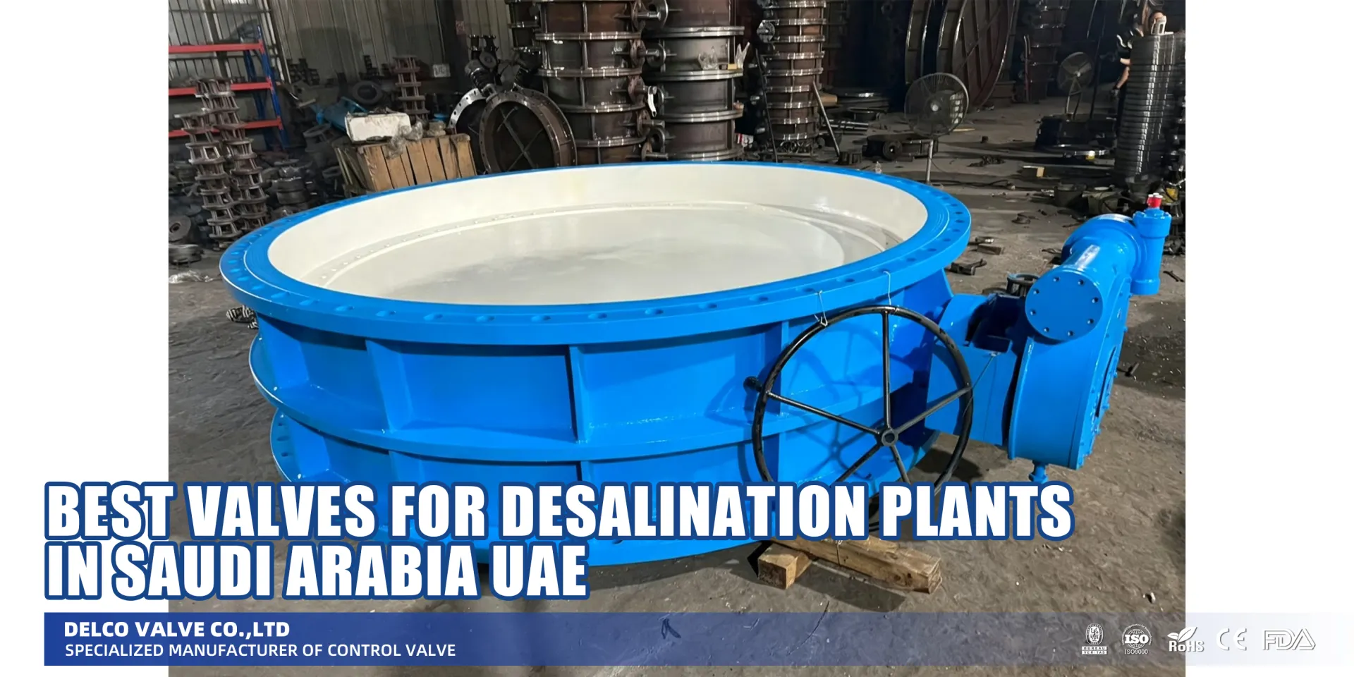 Best-Valves-for-Desalination-Plants-in-Saudi-Arabia-UAE