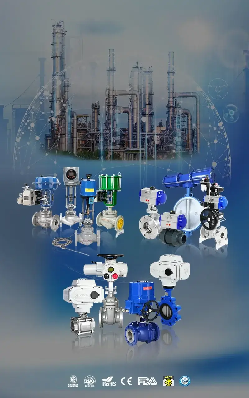 https://www.delcovalves.com/wp-content/uploads/2026/08/China-Valve-Manufacturer-21-Years-of-Manufacturing-Experience.webp
