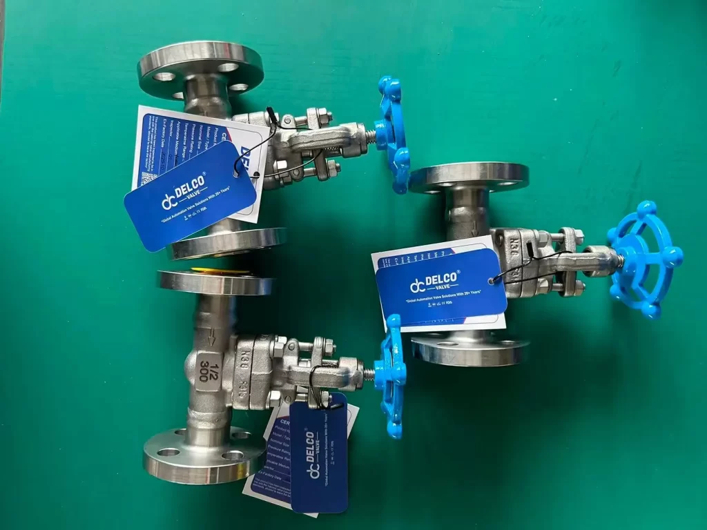 Stainless Steel Forged Globe Valve
