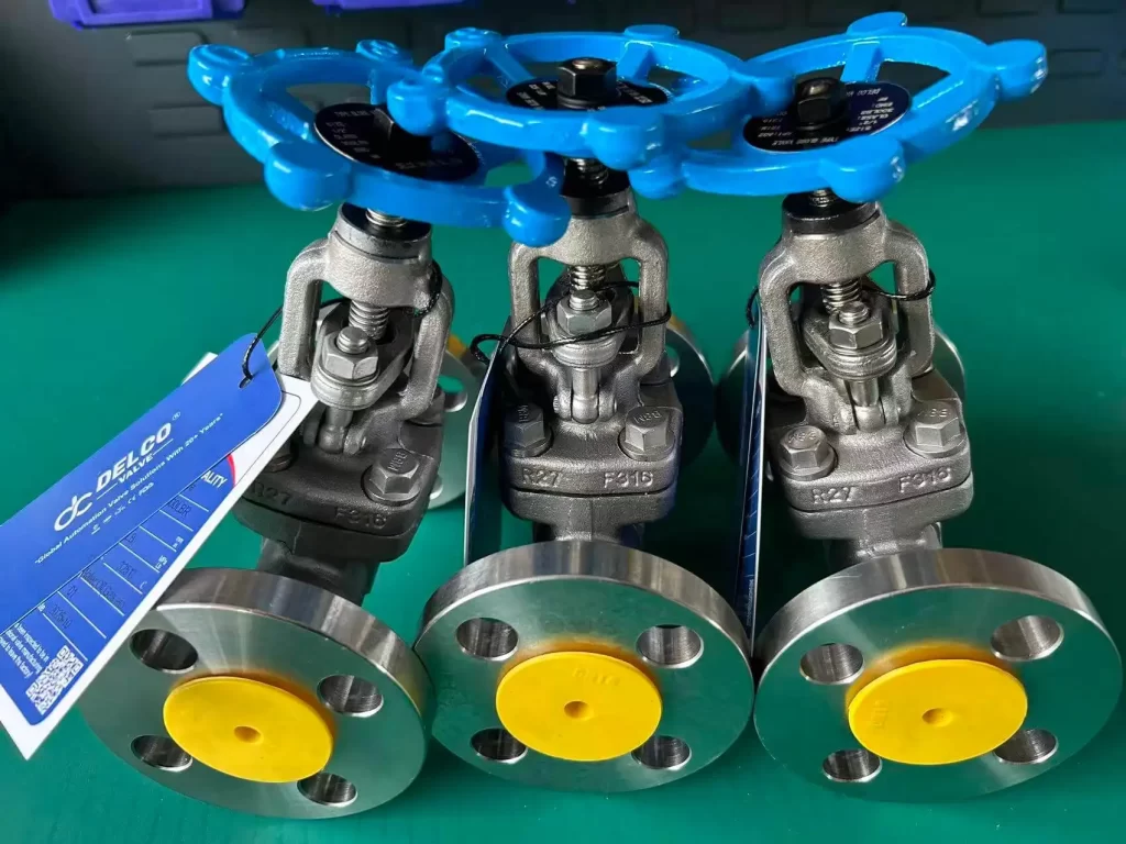 Stainless Steel Forged Steel Globe Valve