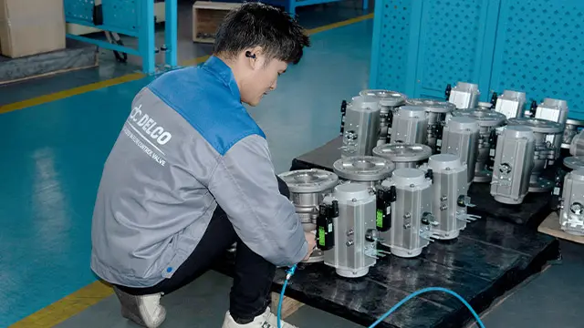 delcovalves-Quality-You-Can-Verify