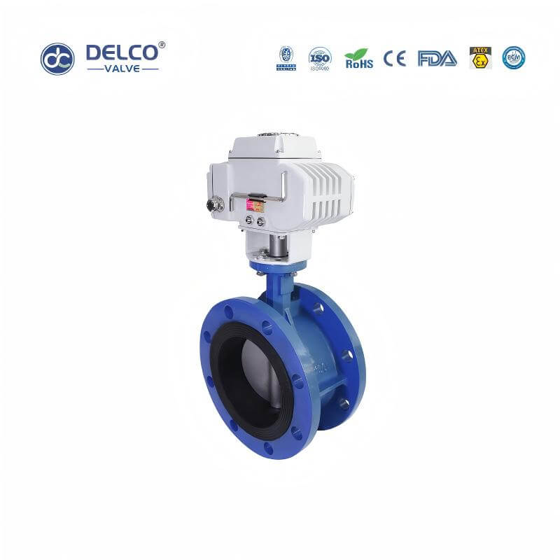 DK56-FB-Electric-Cast-Iron-Flanged-Butterfly-Valve1.jpg