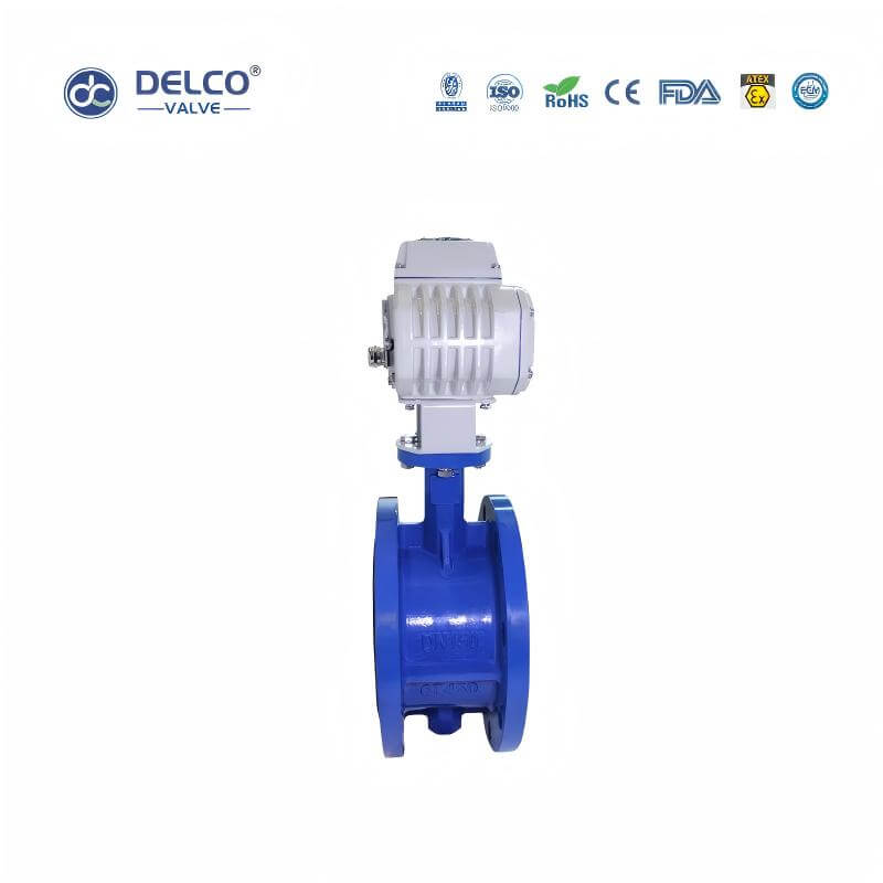 DK56-FB-Electric-Cast-Iron-Flanged-Butterfly-Valve2.jpg