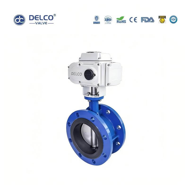 DK56-FB-Electric-Cast-Iron-Flanged-Butterfly-Valve4.jpg