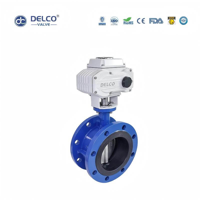 DK56-FB-Electric-Cast-Iron-Flanged-Butterfly-Valve5.jpg