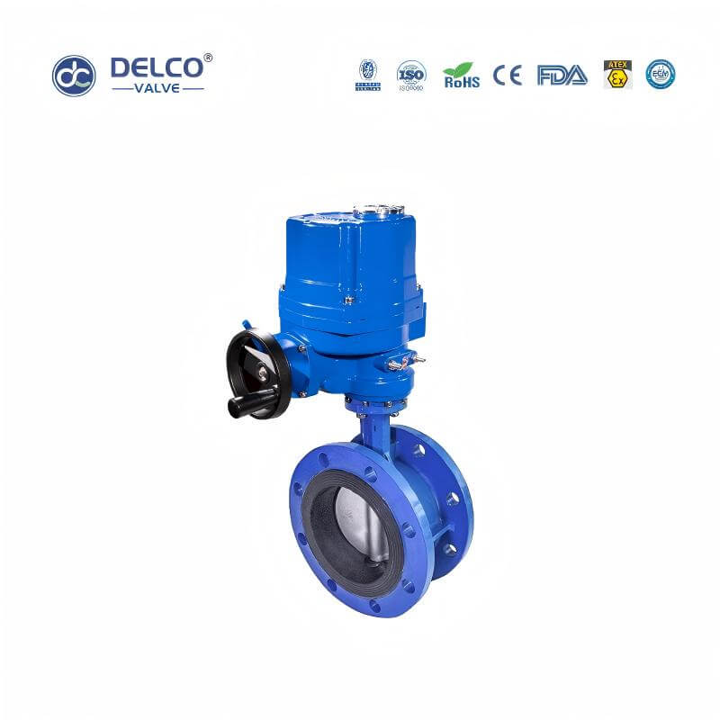 DK56-FB-Electric-Cast-Iron-Flanged-Butterfly-Valve6.jpg