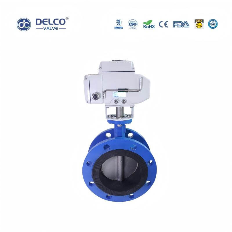 DK56-FB-Electric-Cast-Iron-Flanged-Butterfly-Valve7.jpg
