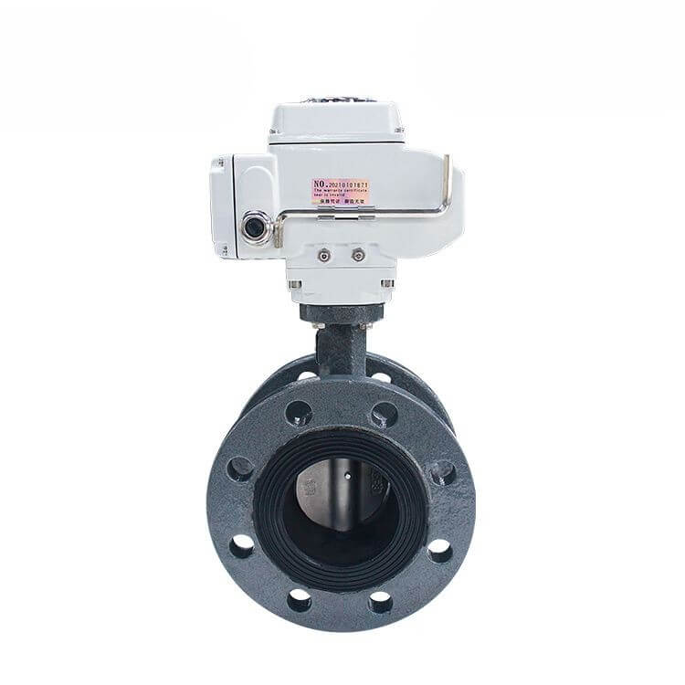 DK56-FB-Electric-Cast-Steel-Flanged-Butterfly-Valve-1.jpg