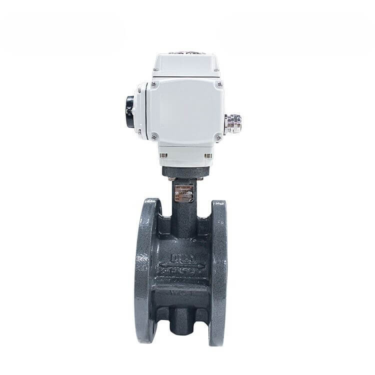 DK56-FB-Electric-Cast-Steel-Flanged-Butterfly-Valve-13.jpg